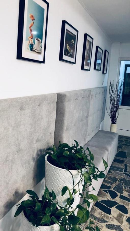 Siechnice Noclegi Exteriör bild